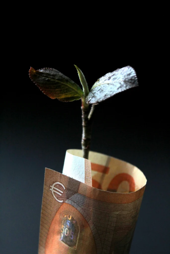 plant growing from the money
